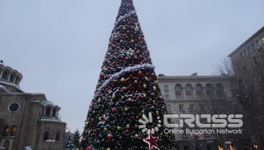 Москва дари елха на София