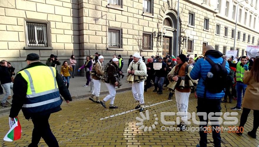 Снимка: Николай Белалов