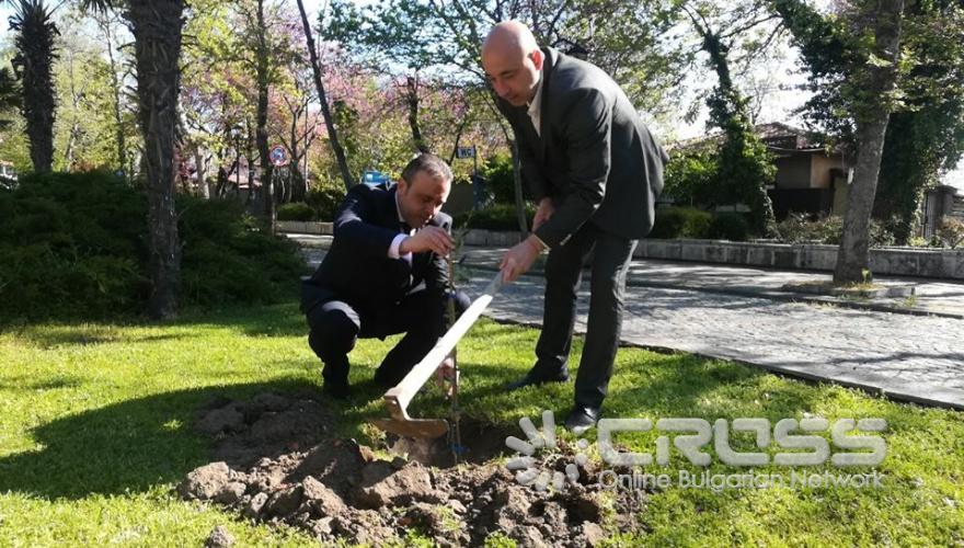 Пробегът на мира е международна щафета, посветена на хармонията и единството между хората от цял свят.

 От ръка на ръка и от държава на държава чрез него се предава Факелът на мира, който от март до октомври тази година трябваше да обиколи цяла Европа.


Facebook: Пробег на мира • Peace Run