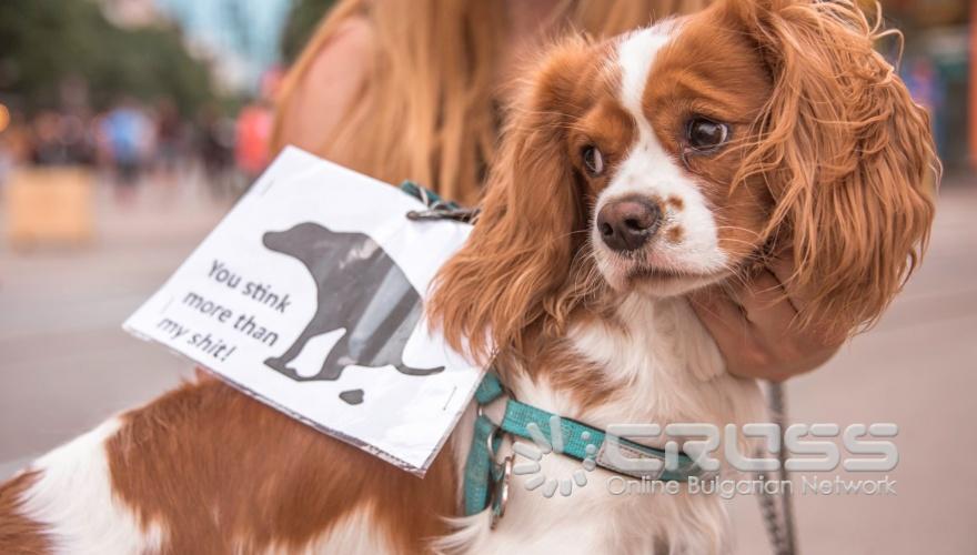 Снимка: Етюд-и-те на София / Sketches of Sofia