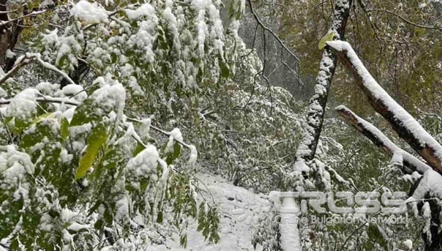 Първият сняг за 2021 в България