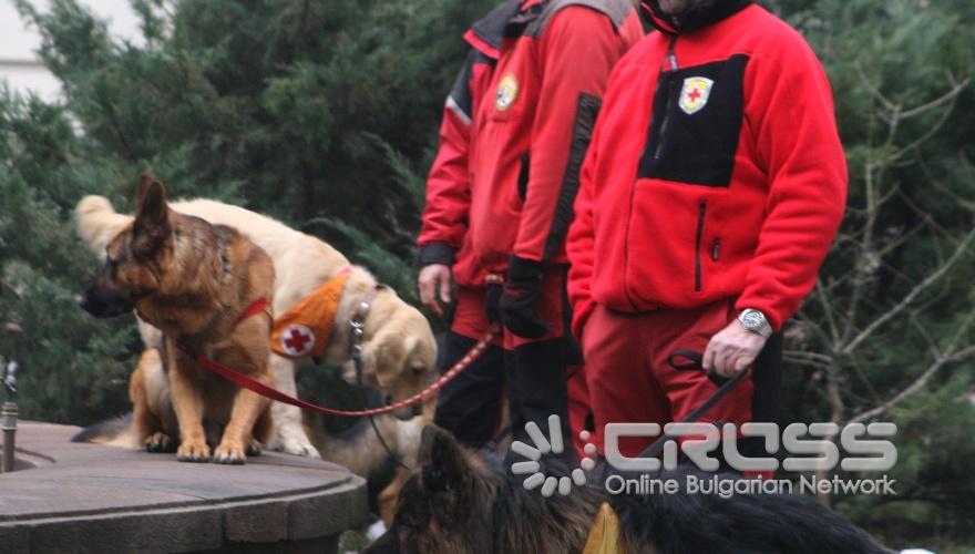 Днес,13 януари,в сградата на Министерския съвет министър-председателят Бойко Борисов награди представители на отряди на Планинската спасителна служба към БЧК, по повод успешно проведените акции през изминалата година.