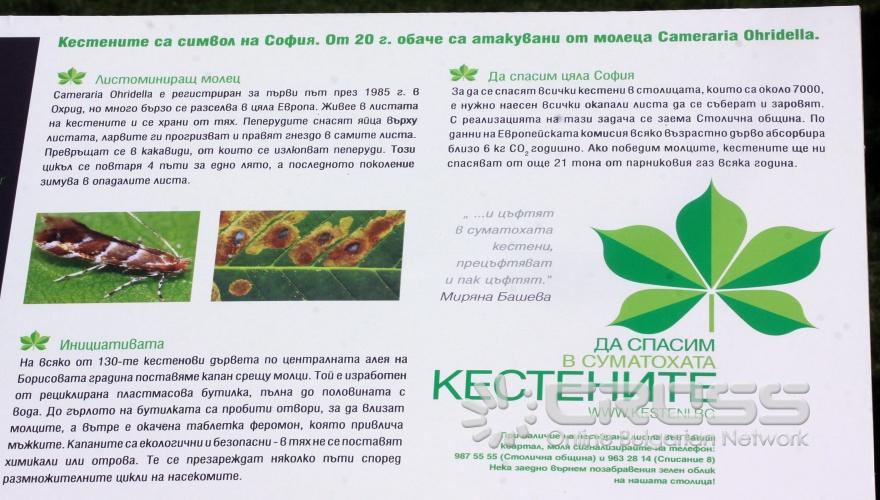 "Да спасим в суматохата кестените" започна 
с купон в Борисовата градина