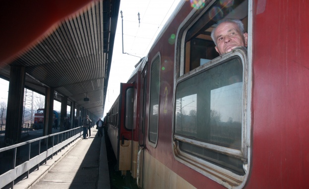 Паднали дървета и клони затрудниха движението на влаковете в два железопътни участъка 