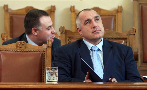 Заменките на гори може да ни струват между 2 и 8 милиарда