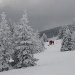 Откриват сезона на Витоша с нощно ски спускане