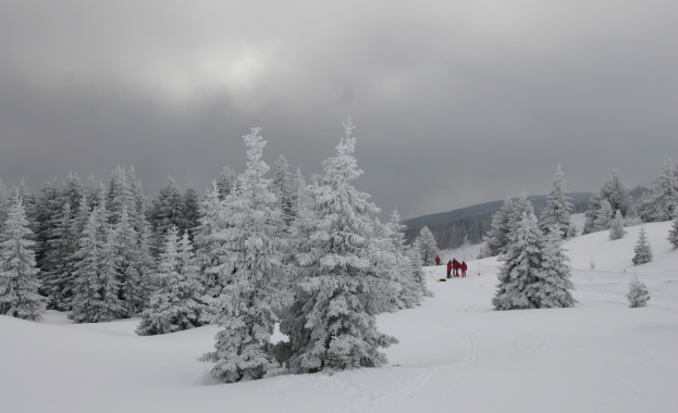 Екоактивисти се разходиха на Витоша с автомобили