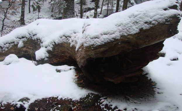 Пострадалите туристи в Пирин са спасени