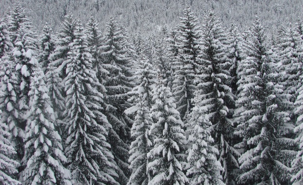 Пожарникари и спасители проправят път към няколко планински хижи, където са блокирани хора