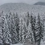 Лоши са условията за туризъм във високите части на планините