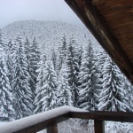 Природозащитници: Готви се строителството на нови 330 км писти в Парк "Пирин"