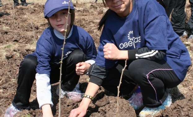 Ученици от столицата сеят дръвчета над Драгалевския манастир