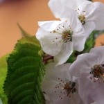 Очите виждат само това...