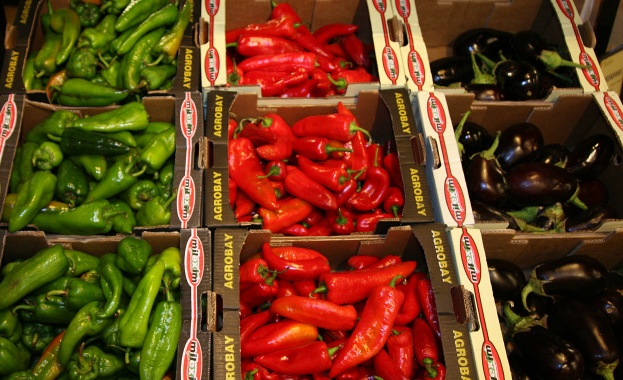 София с урбанистична среда, ще гледаме зеленчуци и по покривите 