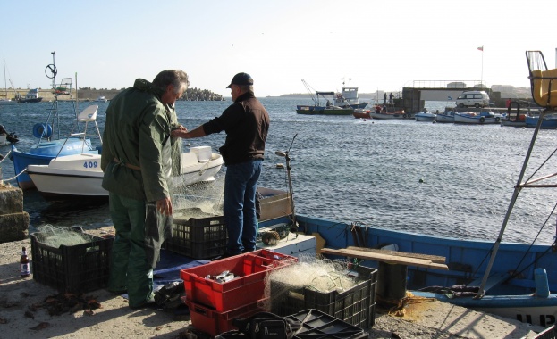 15-килограмов сом бе уловен в фонтан