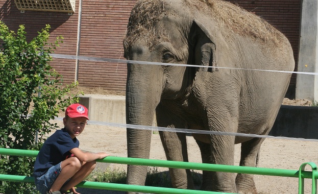 Ремонтират зоологическата градина в Пловдив