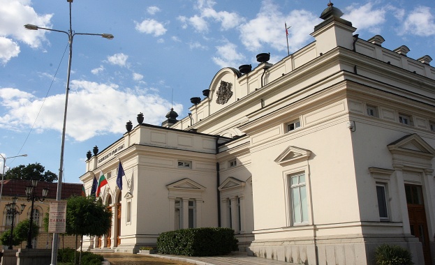 В НС ще обсъждат узаконяването на заместващото майчинство в България