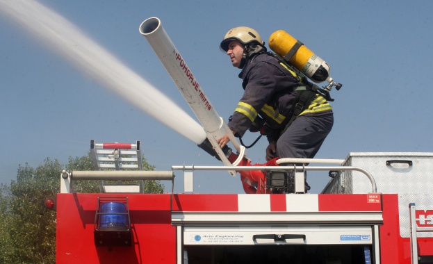 Изгоряха 900 дка царевица 