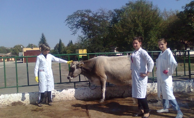 Ден на ветеринаря