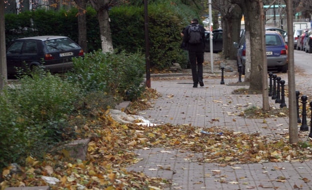 Златната есен е в разгара си парковете в София са