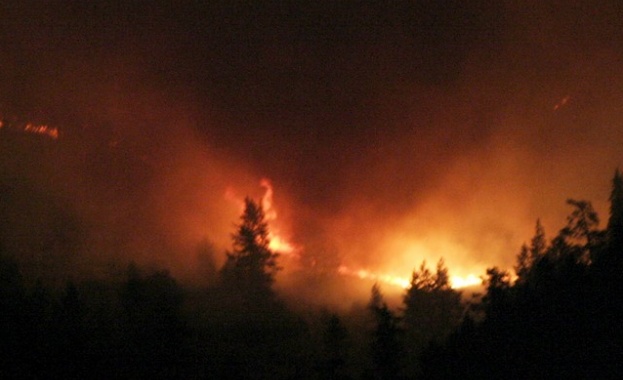 200 дка иглолистна гора и 30 дка лозови насаждения изгоряха край Баня