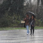 Предстоящи събития в страната 