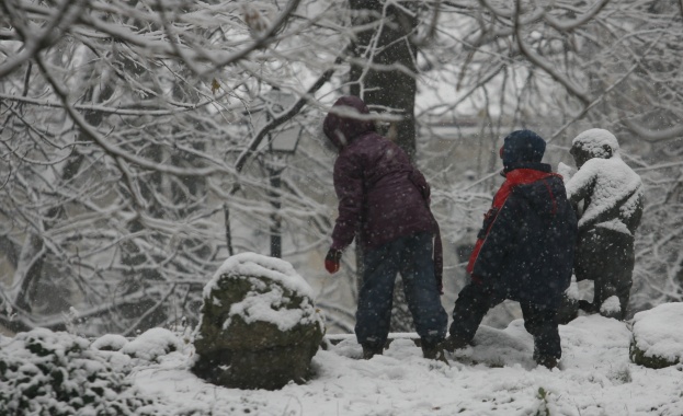 Еколози готвят протести заради промените в Закона за горите