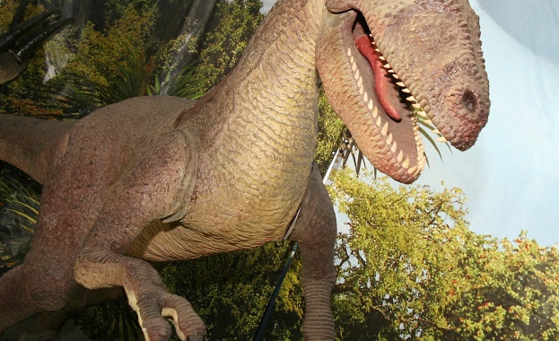 В Австралия откриха нов вид динозавър, един от най-големите в света 