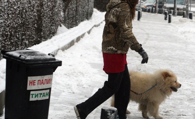 В София се чисти от снега, градският транспорт се движи нормално  