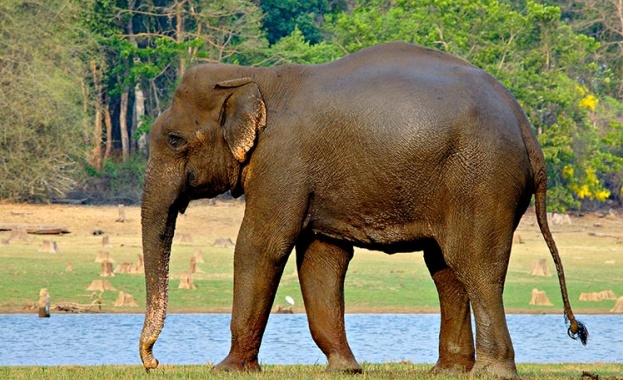 Мисионери инициират молитвена кампания за далитите в Индия