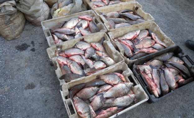 Проекти за близо половин милиона лева са изплатени за рибарство  