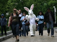 Зайката Бел, която е талисман на кампанията на "Четири лапи" срещу опитите с животни, тръгна на обиколка из столицата