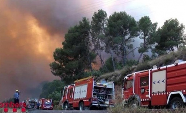 Пожар бушува в гора край полигона „Змеево”