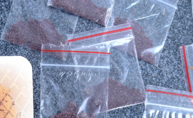 На летище в Норвегия беше арестувана семейна двойка с 42 кг. наркотици