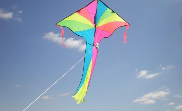 Теодора Иванова: Битката ни е да дадем шанс на птиците да летят свободно още дълго време