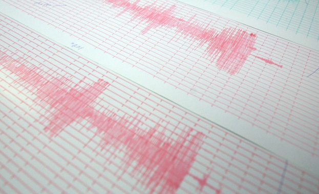 Земетресение с магнитут от 4,8 в Гренландия