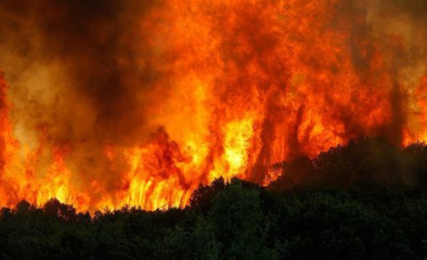 Локализиран е пожарът над Якоруда