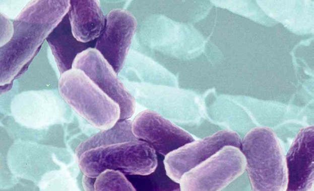Туберкулоза заплашва Западна Европа 