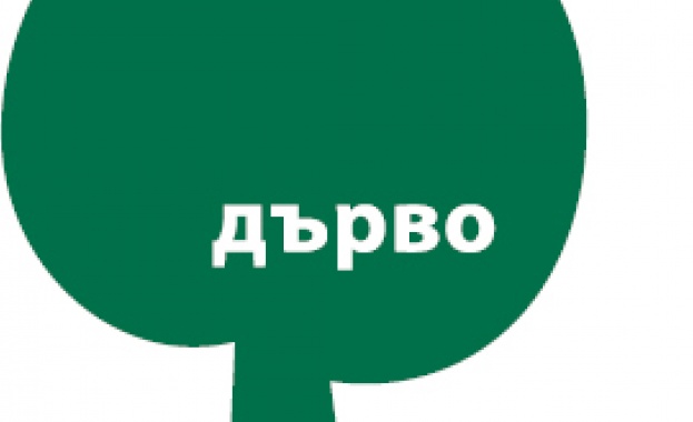 "Дърво с корен 2011"