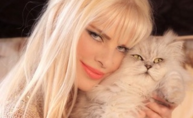 Чичолина иска депутатска пенсия от 40 000 евро 