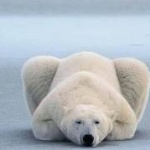 National Geographic и с 3D съдържание 