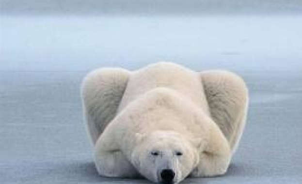 National Geographic и с 3D съдържание 