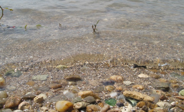  Необикновени колекции на обикновени хора 