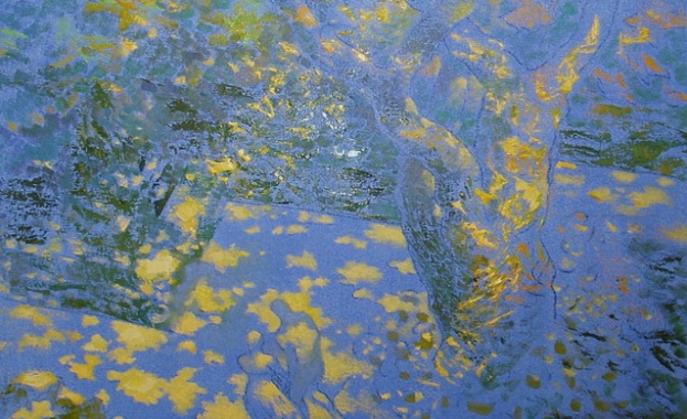 Изложба на Петър Мичев "В МОРЕТО" в галерия "Васка Емануилова" 