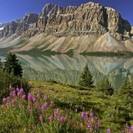 Вече можем да пътуваме за Канада без визи