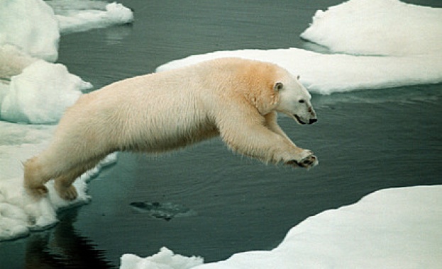 Апокалипсисът започва от Арктика 
