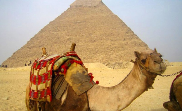 Бунтовете в Египет разбулват загадката около Хеопсовата пирамида