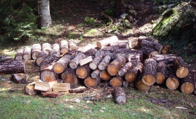 Горските стражи са хванали 12 камиона с нелегална дървесина