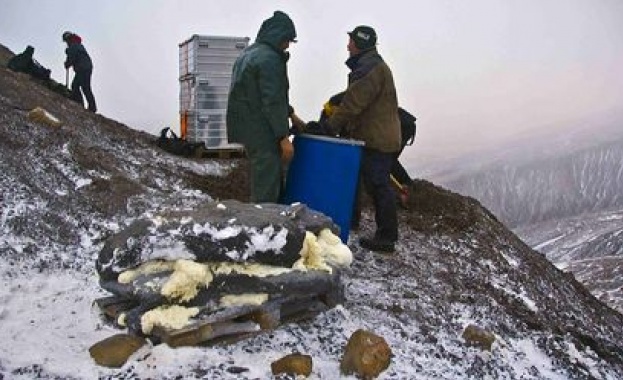 Откриха кит на 49 млн. години