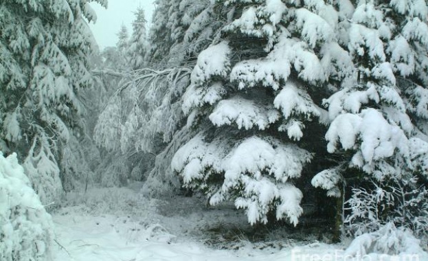 Слънчева Коледа с максимални температури между минус 2° и 3°